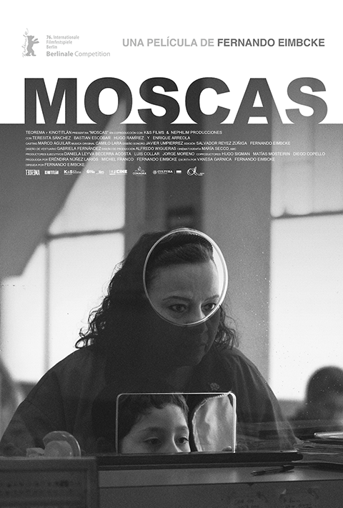 Moscas_Nuevos proyectos